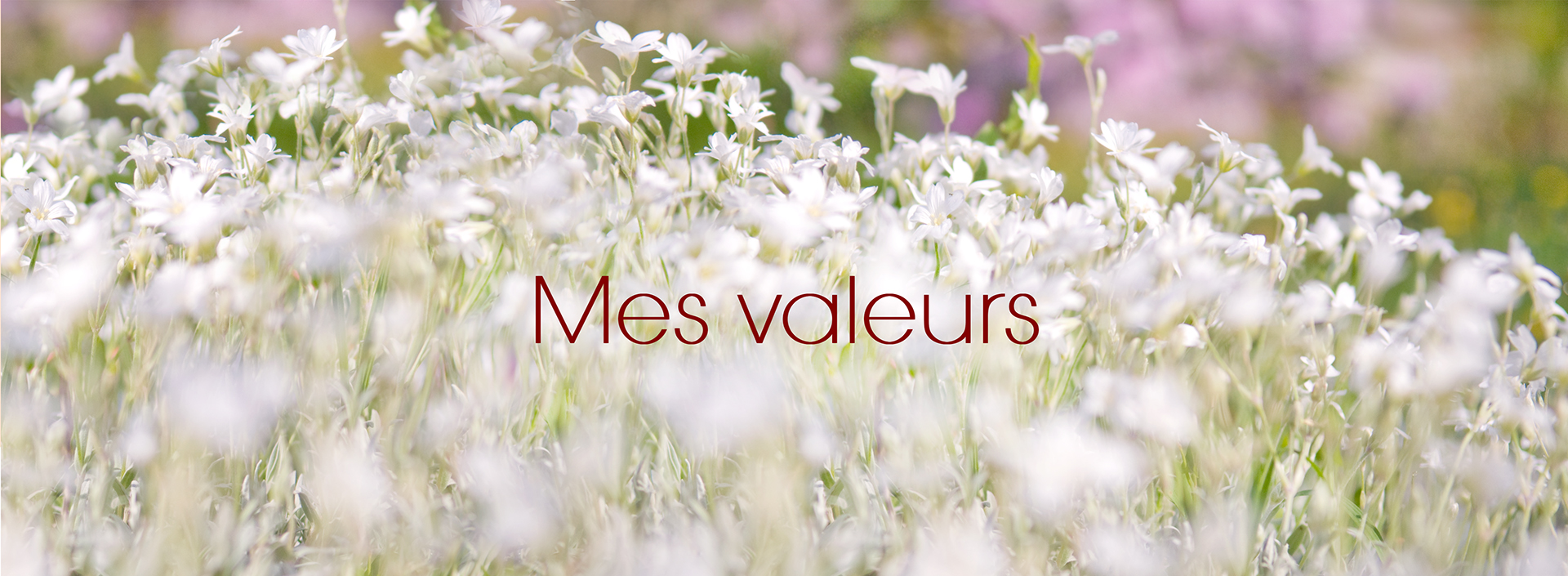 bandeau Mes valeurs